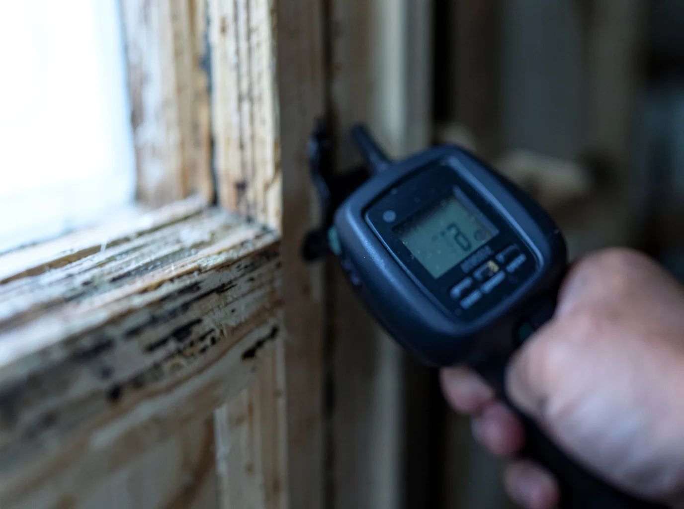 Moisture Inspection And Documentation in Simms, MT